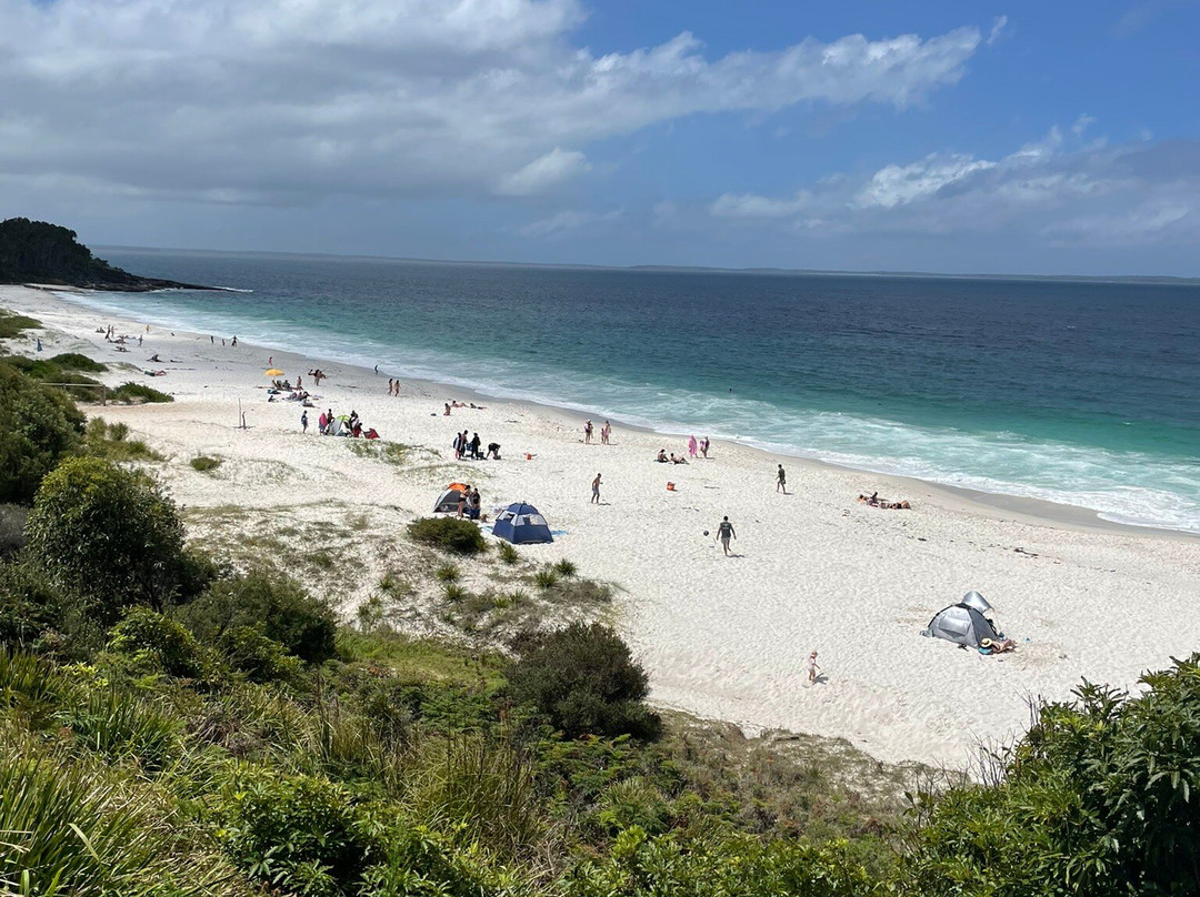 Mate Tours-悉尼必去景点