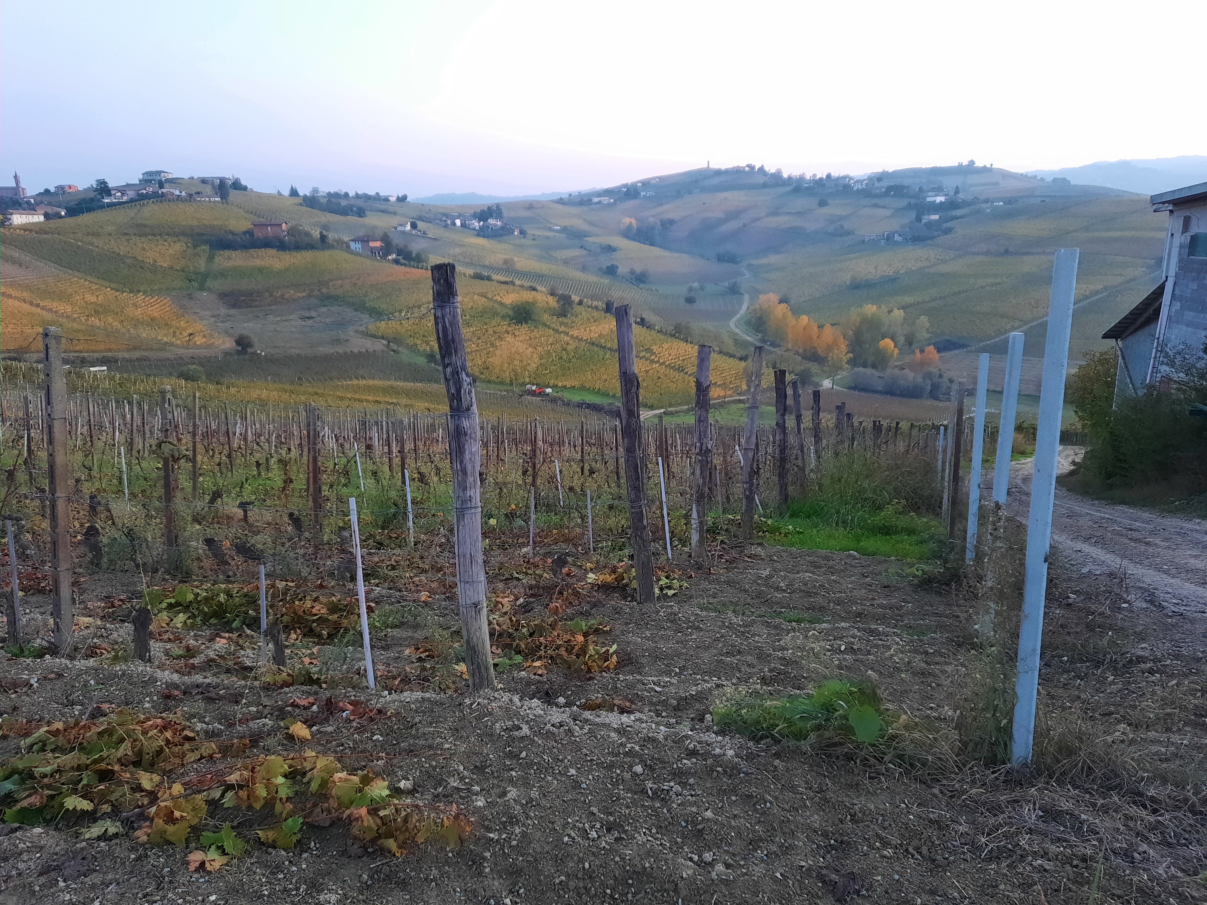 Agriturismo Vecchio Torchio-官方