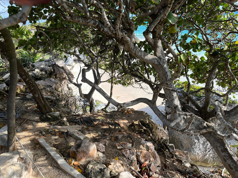 CID Private Transfers-坎昆必去景点