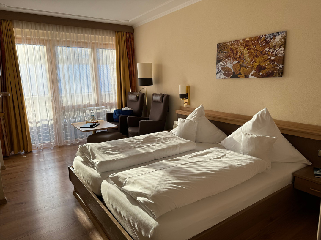 Hotel Das Bayerwald主图