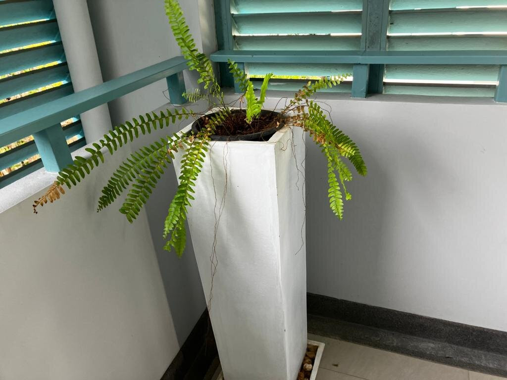 凯璞酷度酒店，瑶诺岛主图