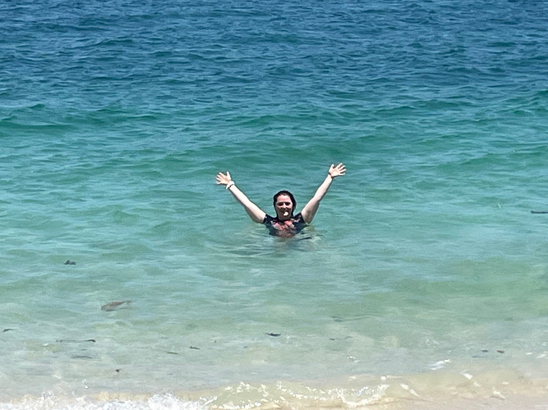 What'SUP Cairns-凯恩斯必去景点