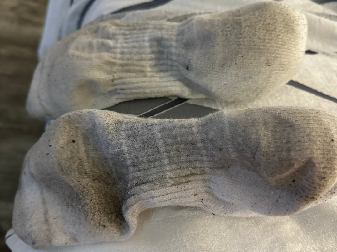 哈瓦苏湖戴斯酒店主图