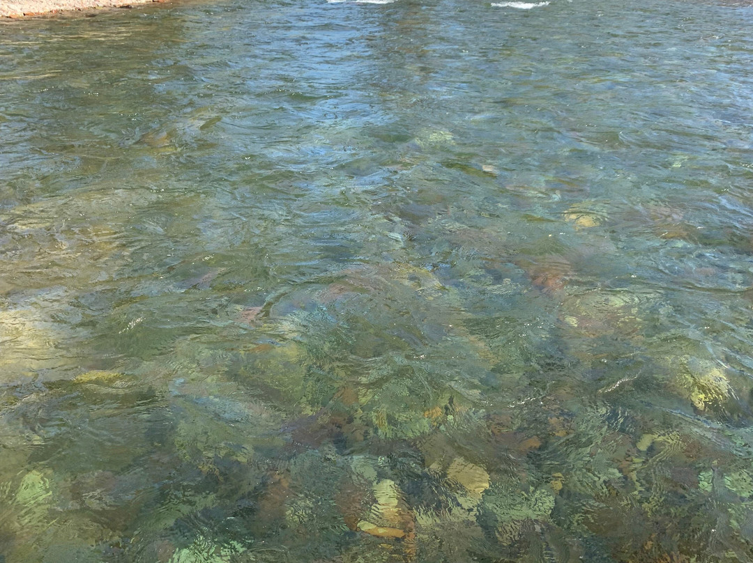 Bigfork Anglers Fly Shop & Guide Service景点图片