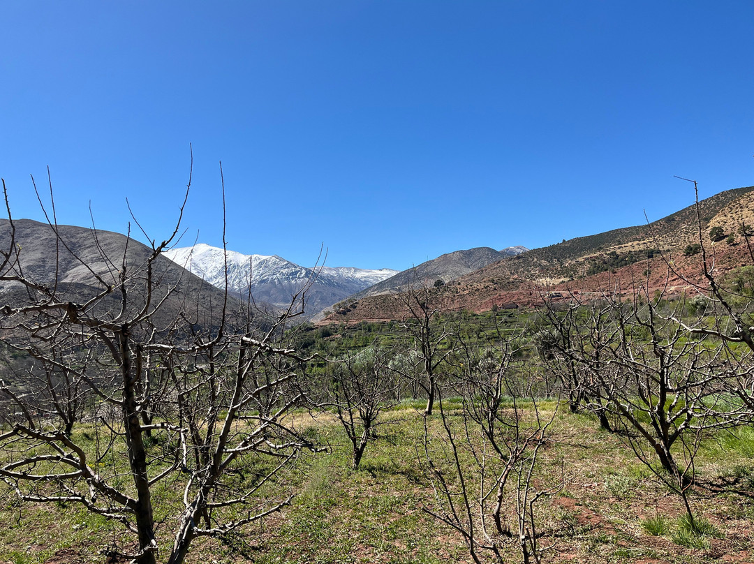 Amizmiz Trekking - Day Tours景点图片