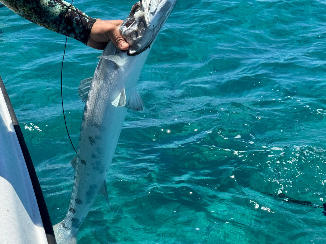 Spear It Key West-基韦斯特必去景点