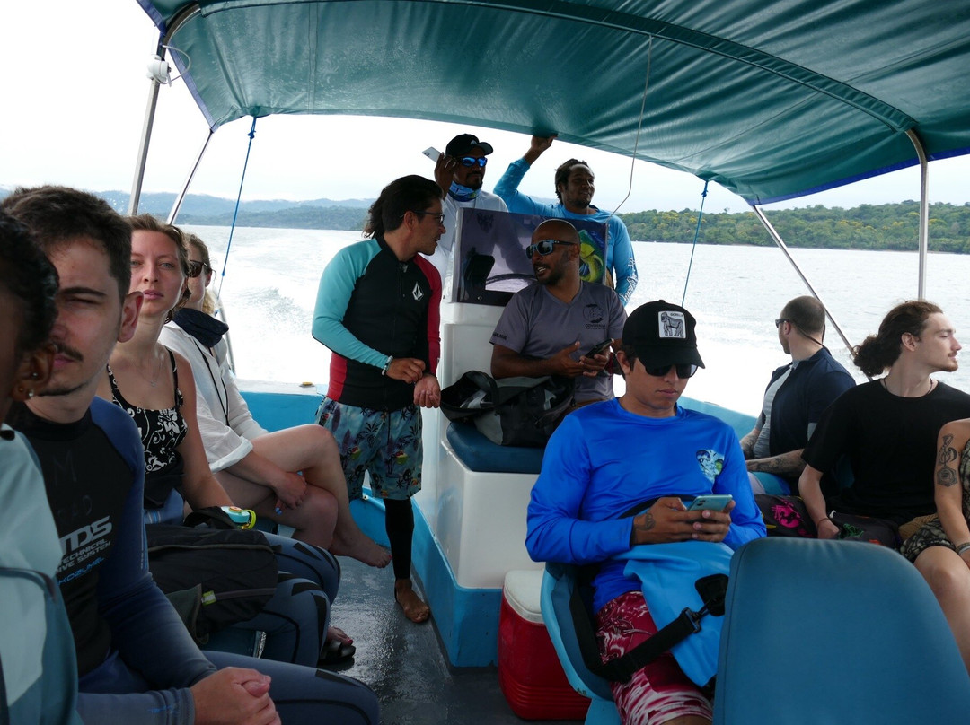 Costa Rica Adventure Divers景点图片