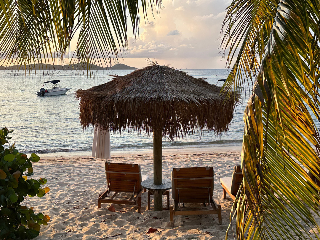 Rosewood Little Dix Bay主图