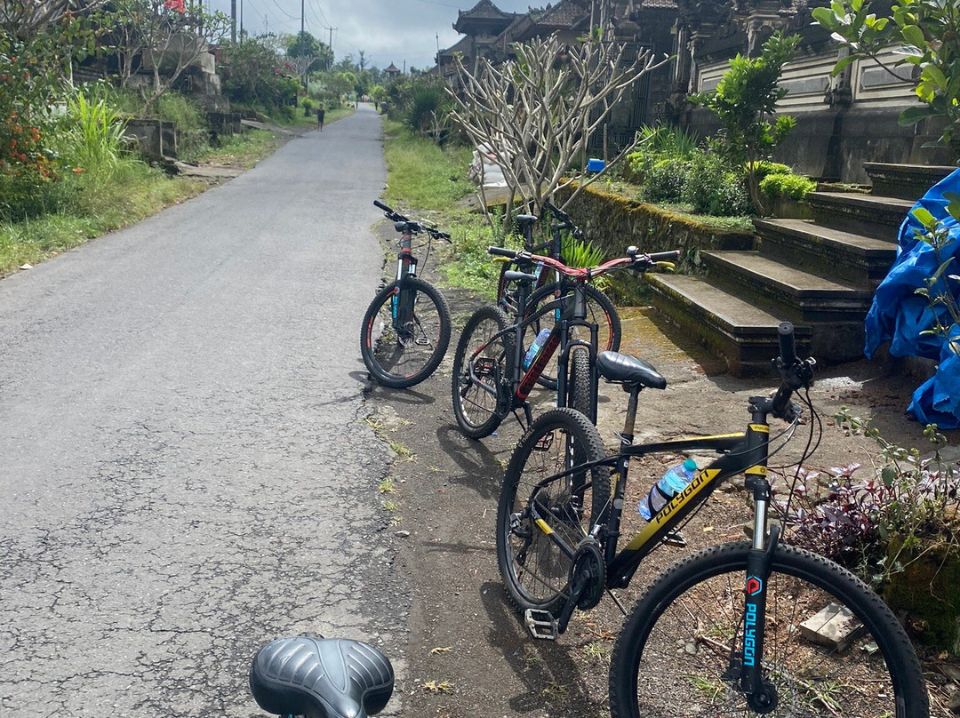 Bali Great Bike Tour-吉安雅必去景点