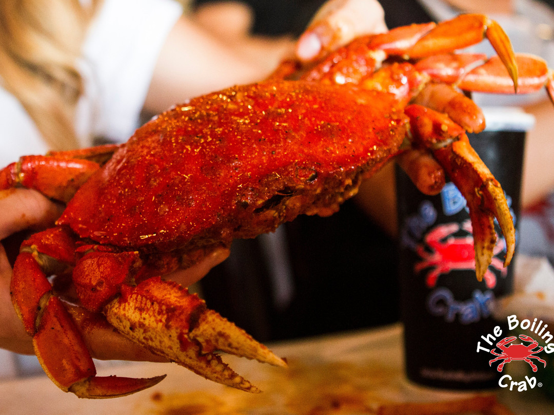 The Boiling Crab Sydney CBD