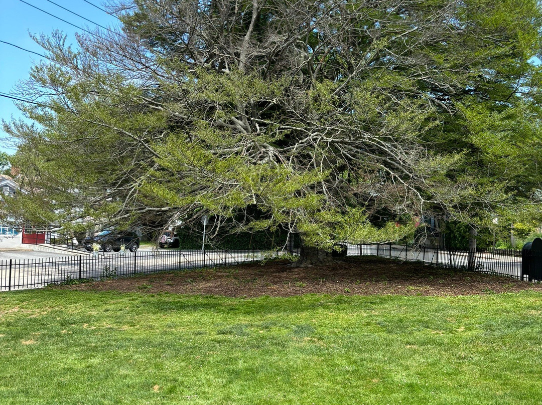 Newport Historical Society Walking Tours-纽波特必去景点