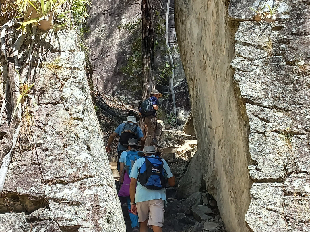 Central Queensland Nature Tours-罗尔斯顿必去景点