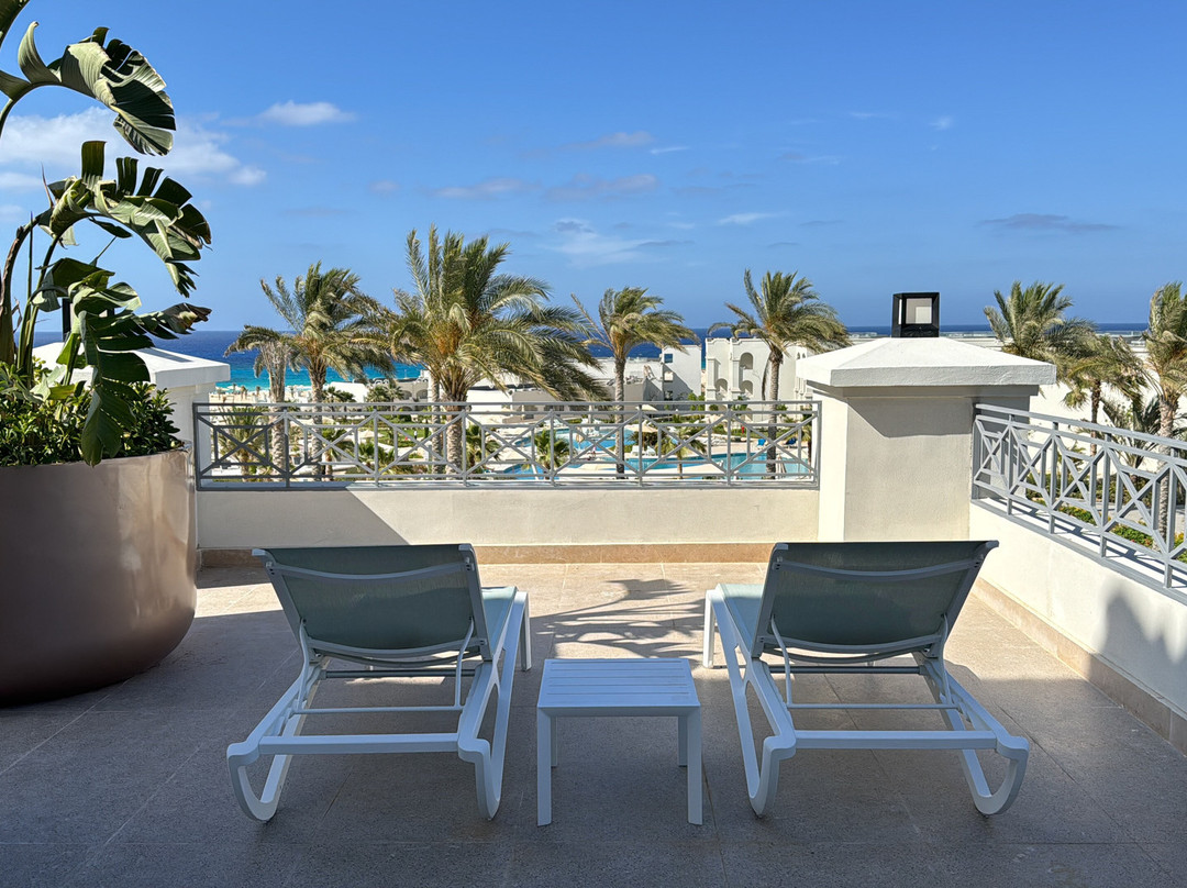 Cleopatra Sidi Heneish主图