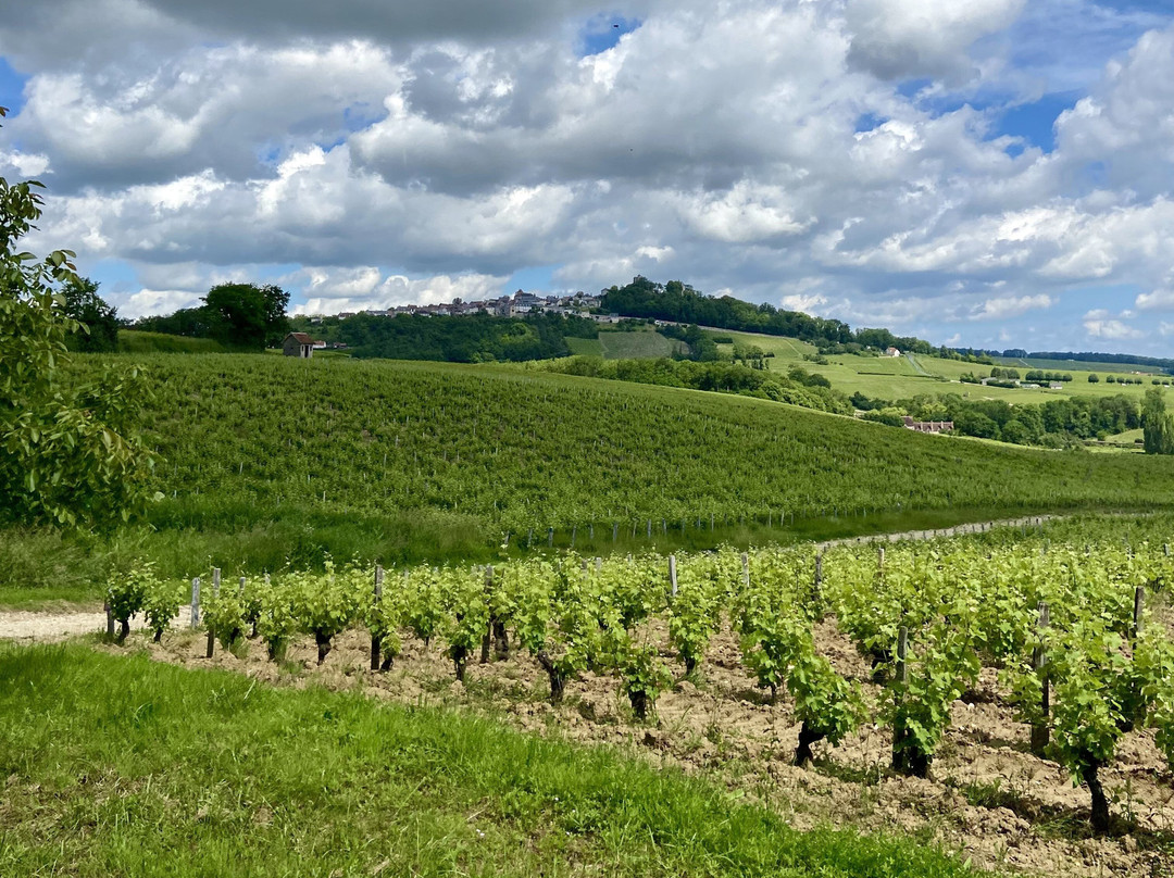 Domaine Eric Louis-Thauvenay必去景点