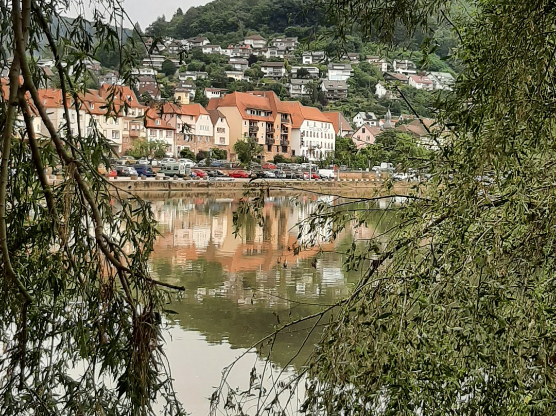 Campingpark Eberbach