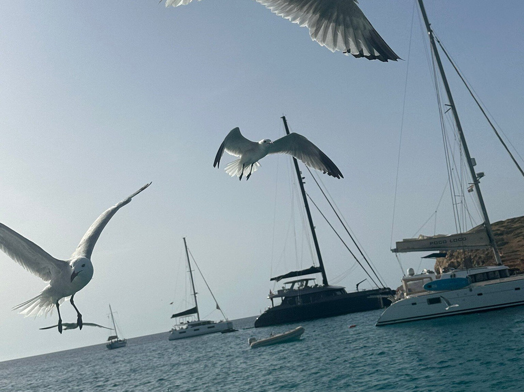 Sailing & Diving Ibiza Bcn-圣安东尼德波特曼尼必去景点