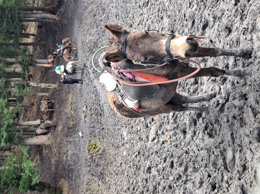 Baisaran-Anantnag District必去景点