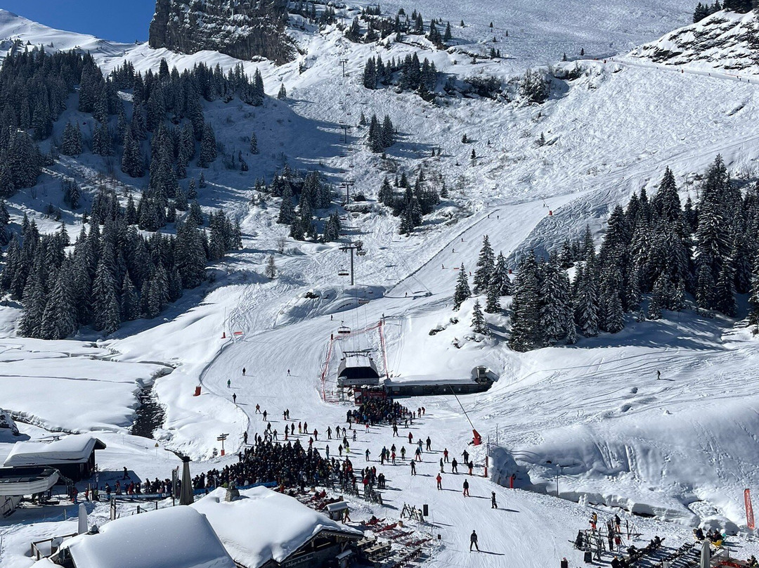 Billski Ski School-莫尔济讷必去景点