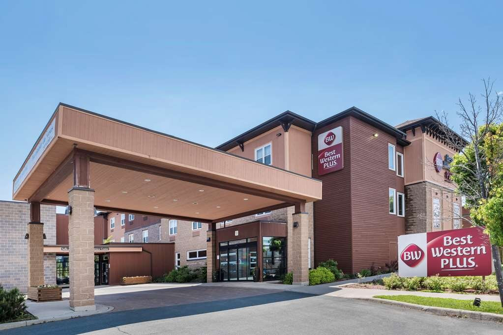 Best Western Plus Bathurst Hotel & Suites主图