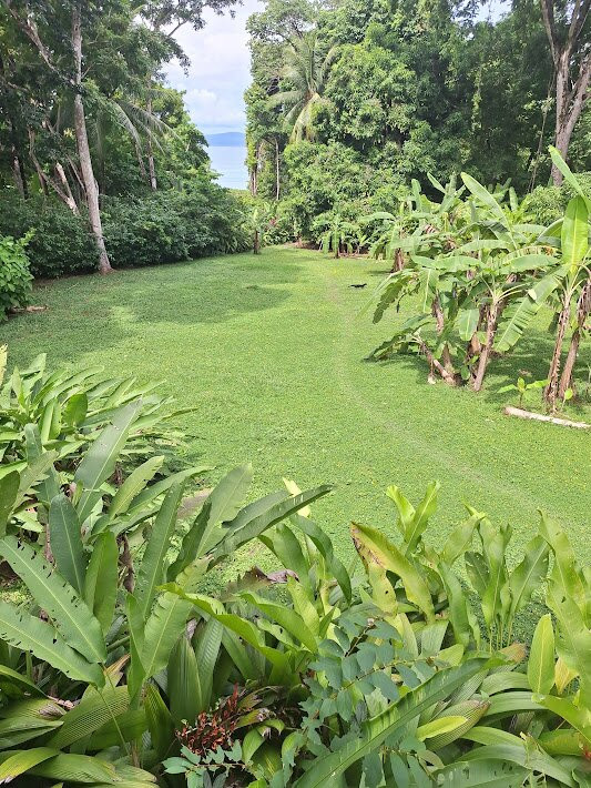 Casa Bambu Beach Resort主图