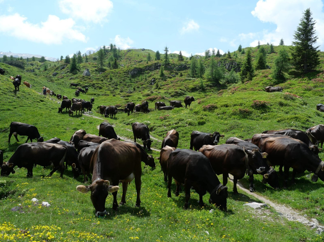 Rifugio Graffer主图