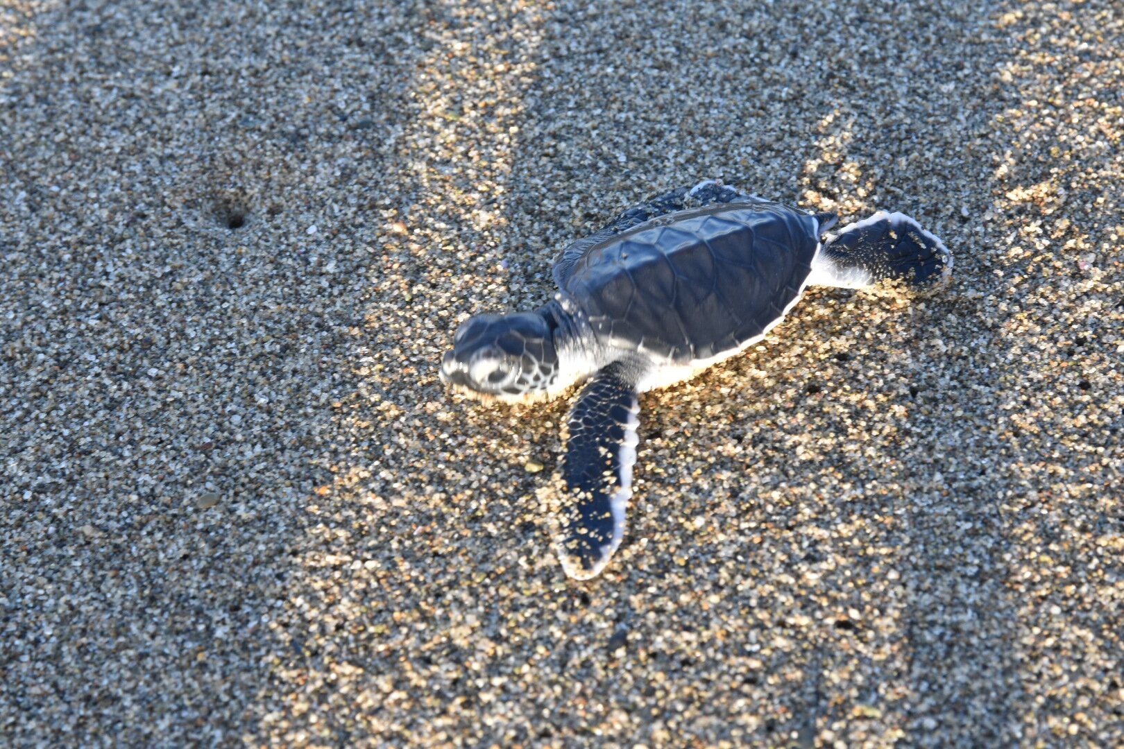 Villa/Guesthouse Rumah Kita-官方