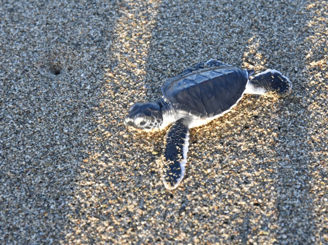 Villa/Guesthouse Rumah Kita主图