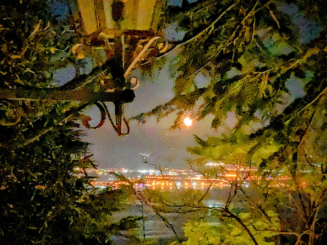 西莱卡里笛B&B酒店主图