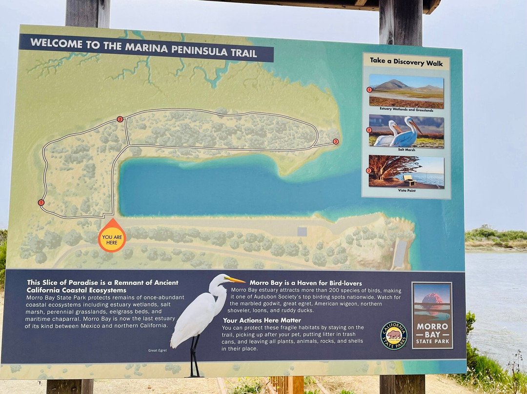 Morro Bay Boardwalk景点图片