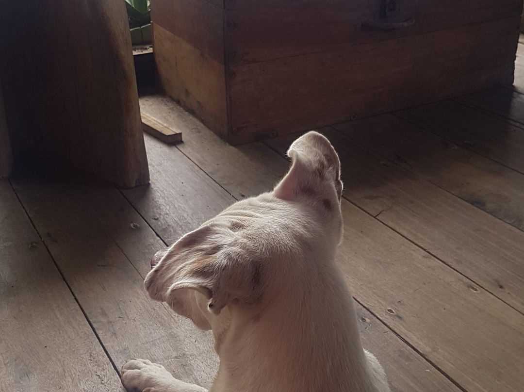 Mecana Ecohotel主图