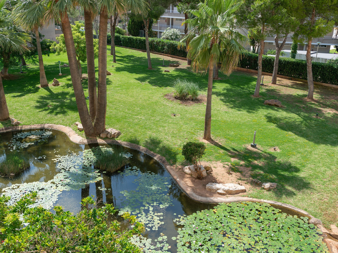 Welikehotel Marfil Playa主图