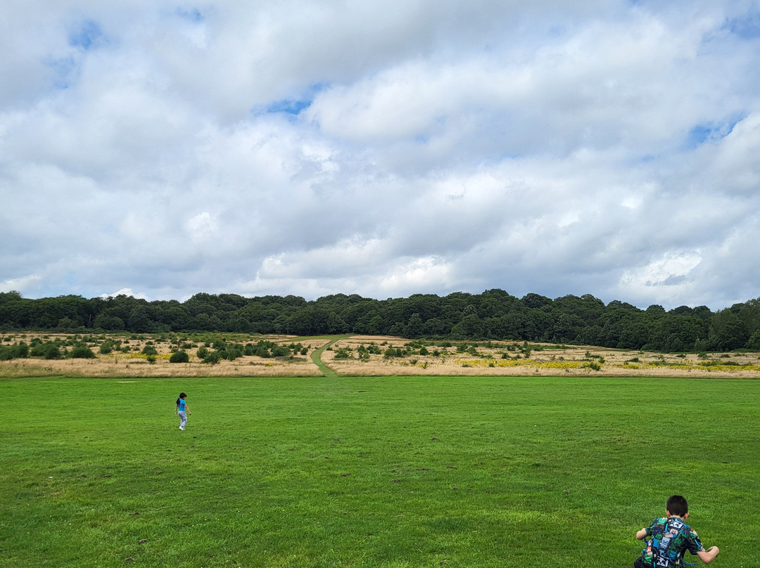 Hainault Forest Country Park景点图片