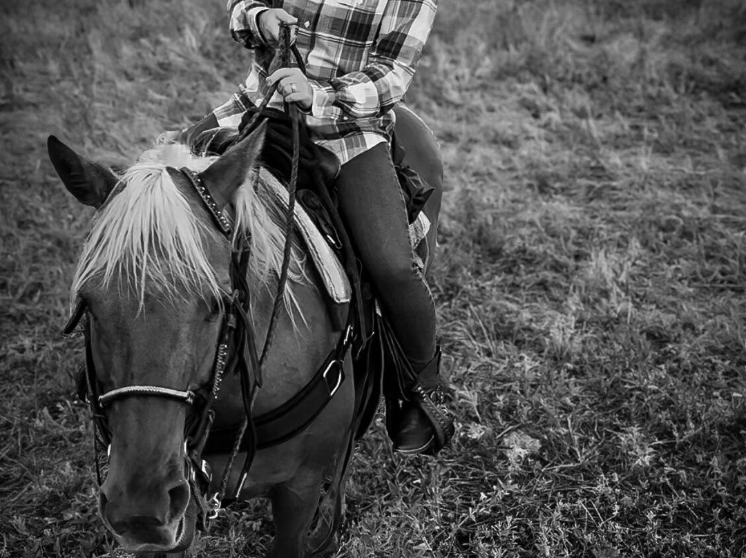 Tattered Saddle Stables At Gordon Creek
