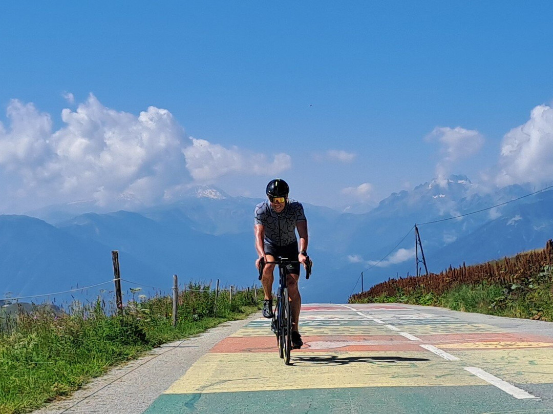 Alpine Cadence Cycling景点图片