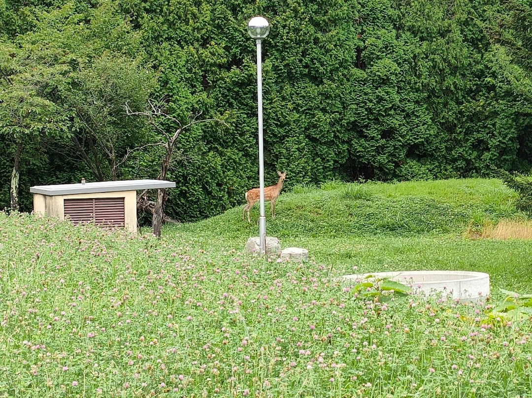 Josuijo Park-美呗市必去景点