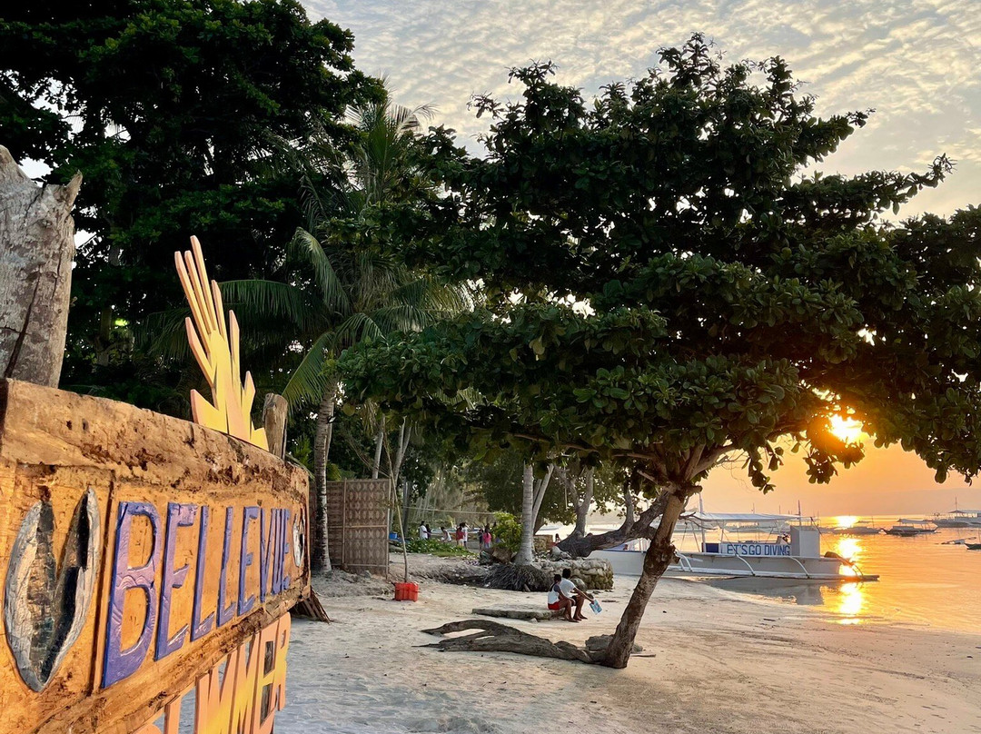 Scotty's Action Sports Network-Panglao必去景点