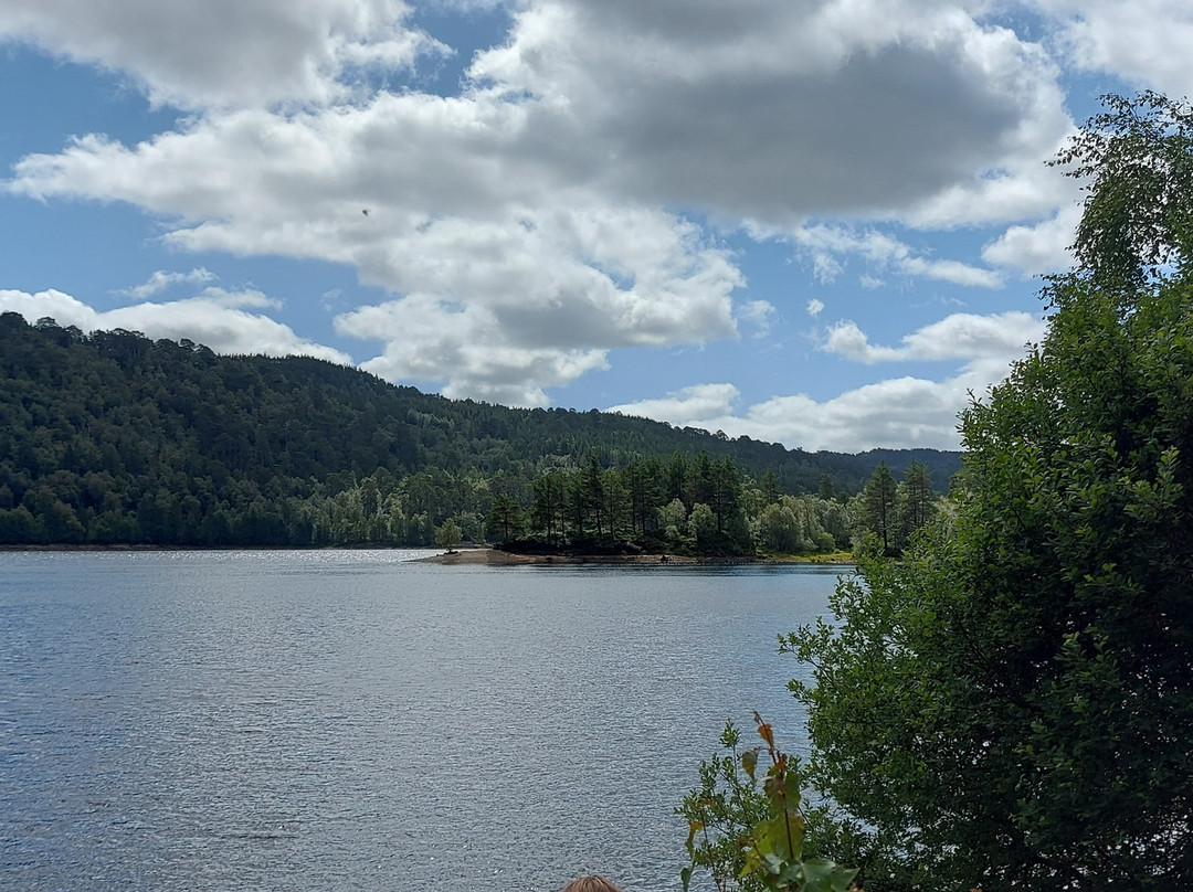 Glen Affric National Nature Reserve景点图片