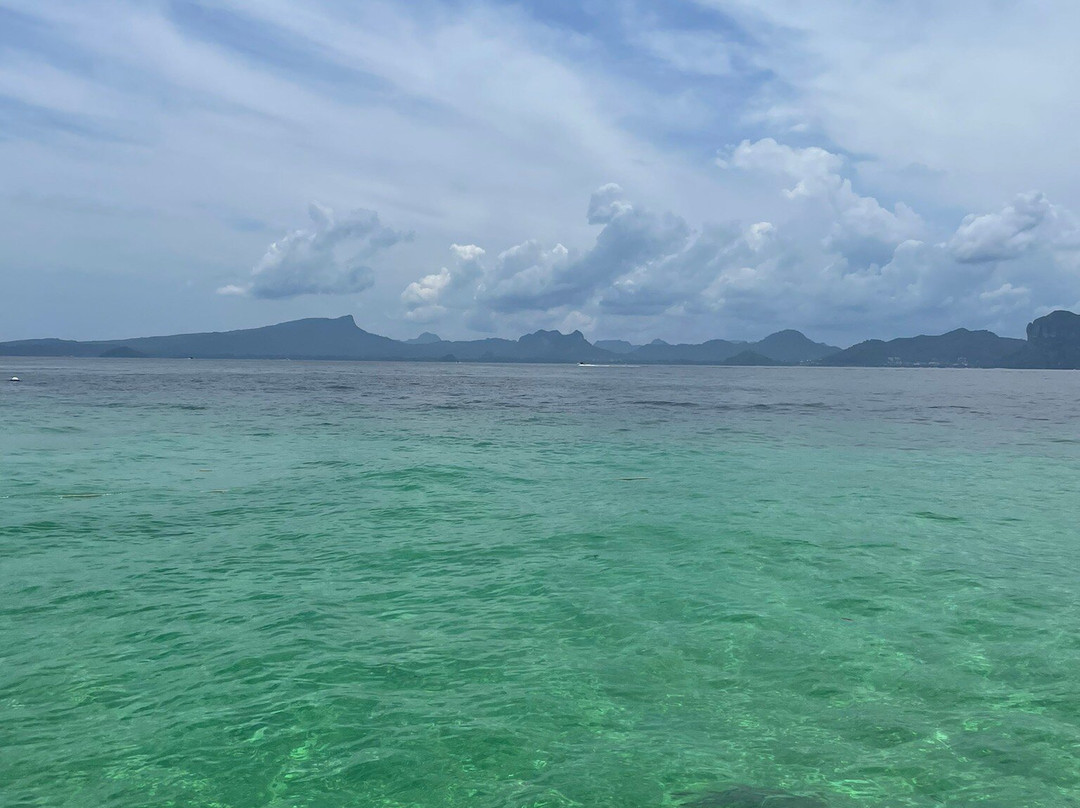 Sea Eagle Tour景点图片