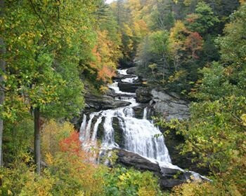 Brook Trout Inn主图