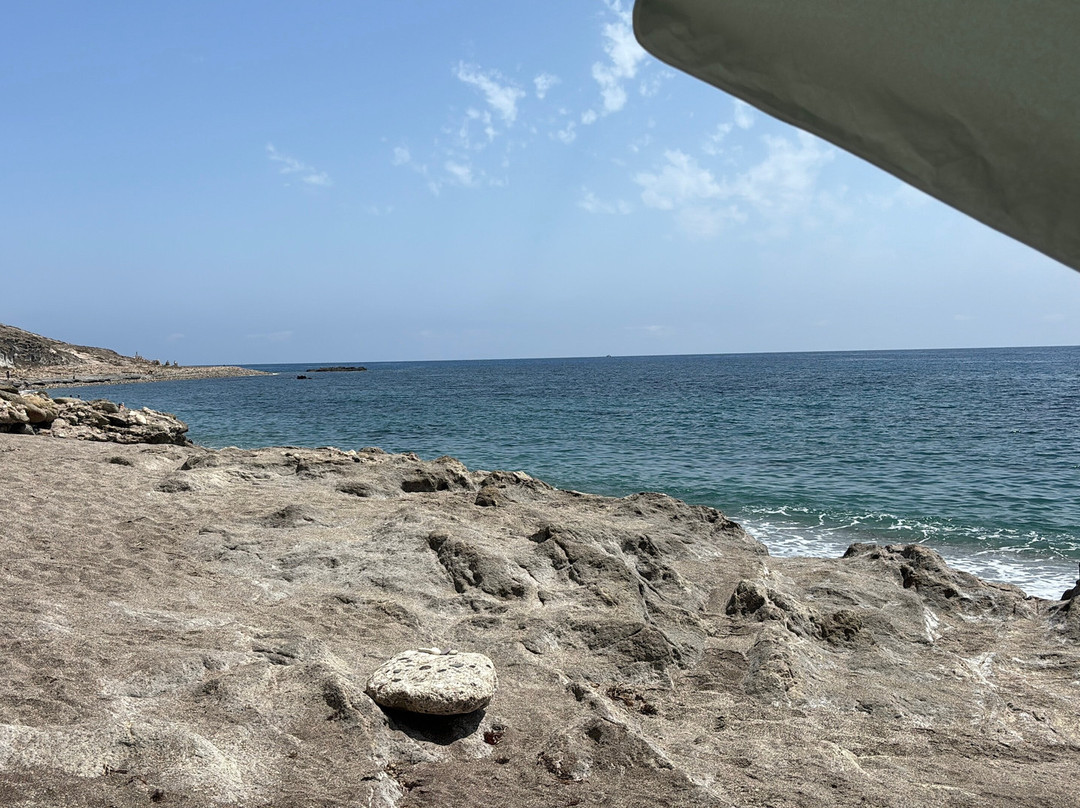 Playa del Algarrobico景点图片