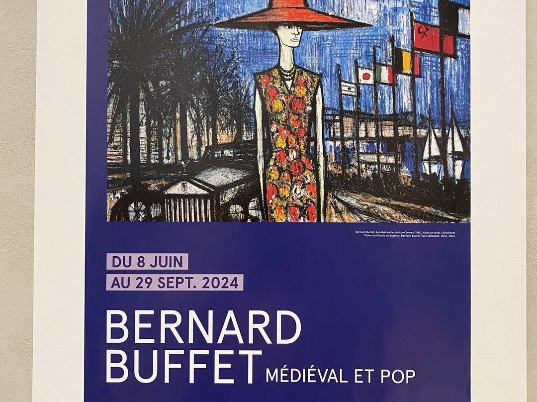 Musée D'art Moderne景点图片
