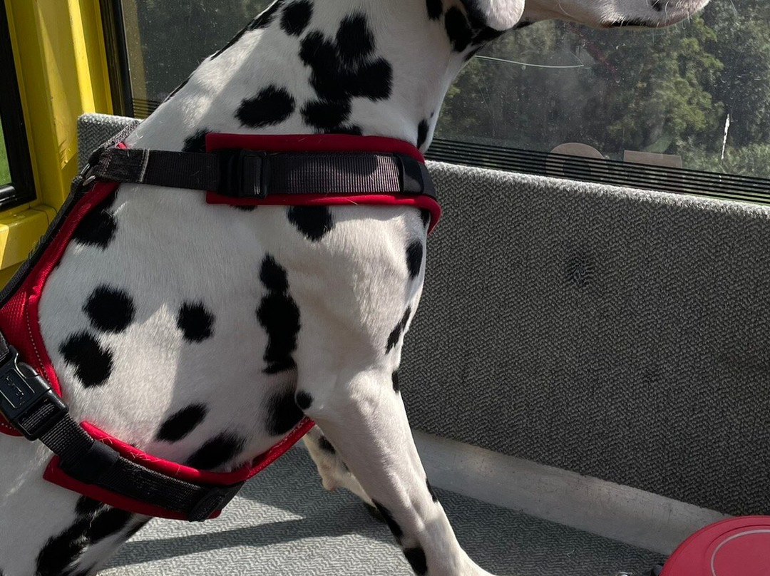 Refugio Laudegg主图