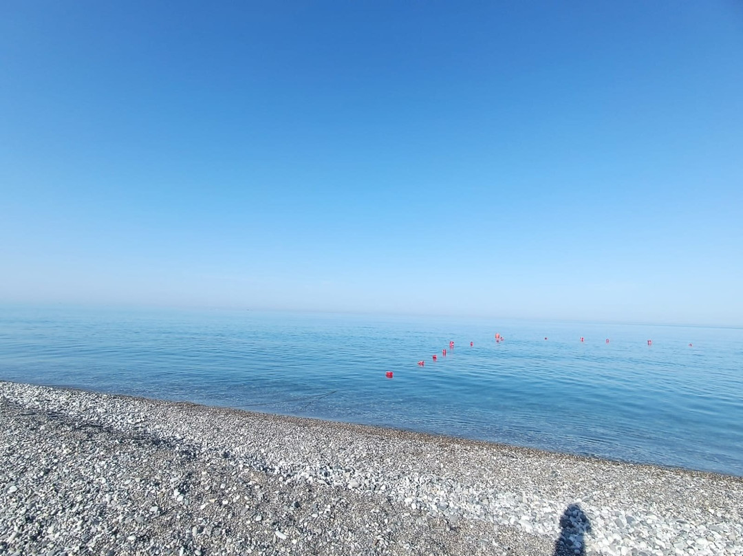 Alex Resort & Spa Hotel主图