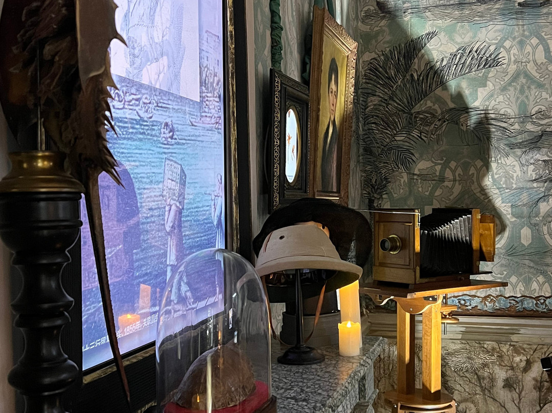 Maison-Musée Latour-Marliac景点图片