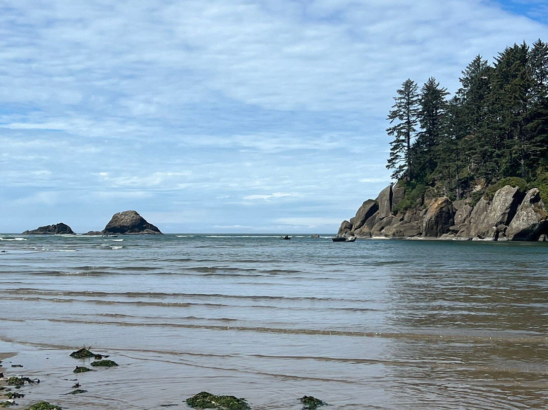 Safari Town Surf Shop-林肯城必去景点