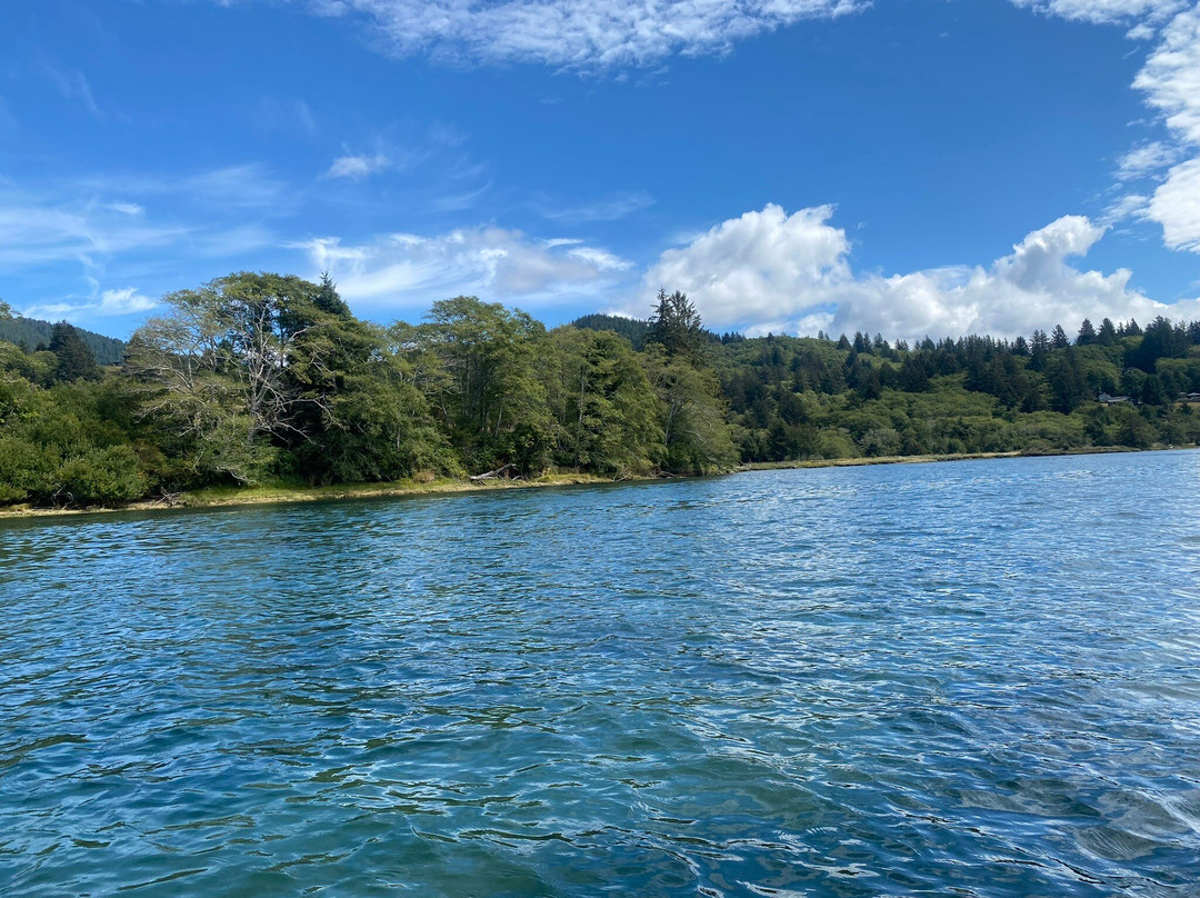 Safari Town Surf Shop-林肯城必去景点