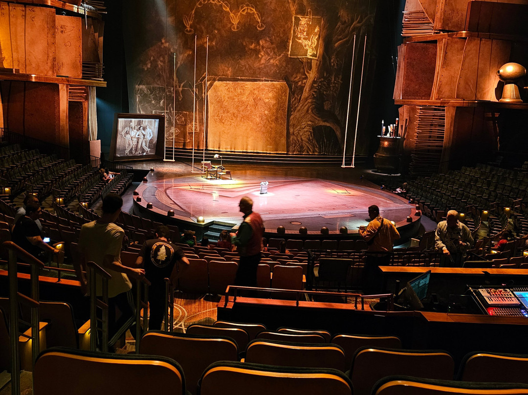 Drawn to Life by Cirque du Soleil-奥兰多必去景点