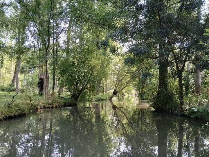 Embarcadere Cardinaud - Marais poitevin景点图片