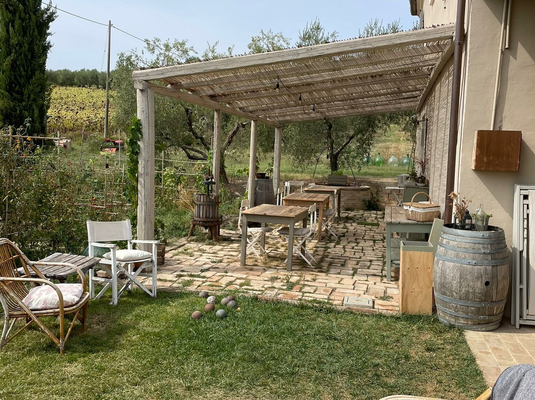 B&B Verde Olivo