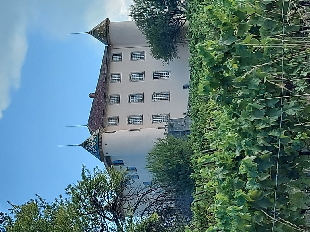 Chateau d'Aiguines景点图片